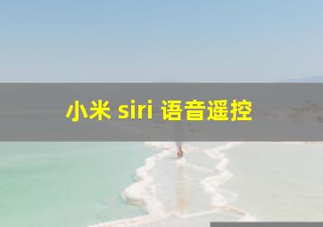 小米 siri 语音遥控